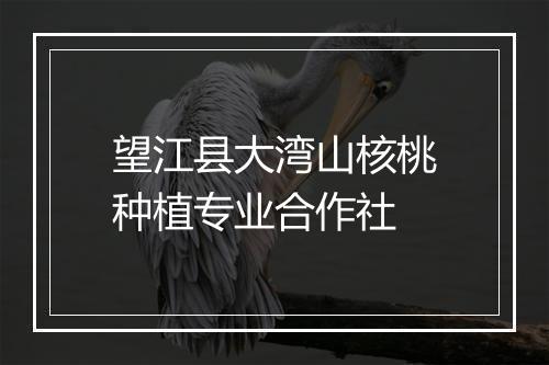 望江县大湾山核桃种植专业合作社