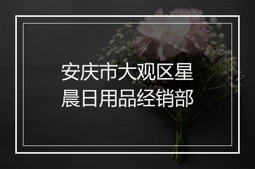 安庆市大观区星晨日用品经销部