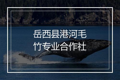 岳西县港河毛竹专业合作社
