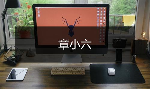 章小六