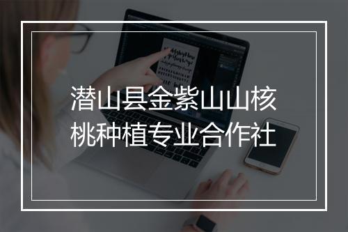 潜山县金紫山山核桃种植专业合作社
