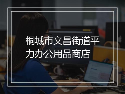 桐城市文昌街道平力办公用品商店