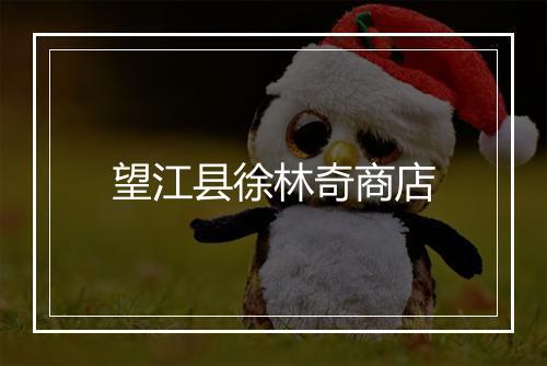 望江县徐林奇商店