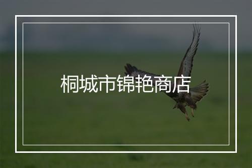 桐城市锦艳商店