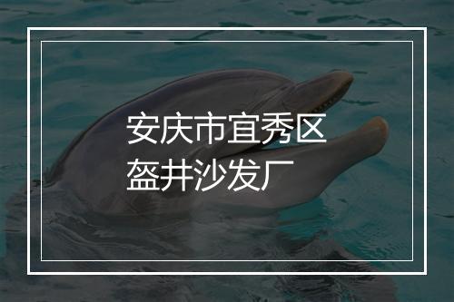 安庆市宜秀区盔井沙发厂