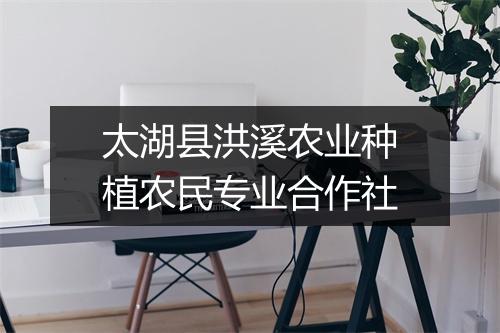 太湖县洪溪农业种植农民专业合作社