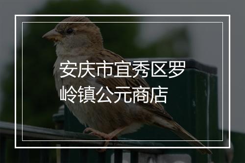 安庆市宜秀区罗岭镇公元商店