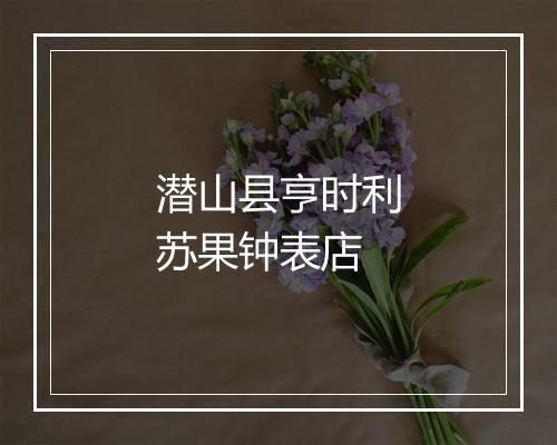 潜山县亨时利苏果钟表店