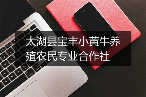 太湖县宝丰小黄牛养殖农民专业合作社
