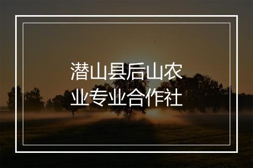 潜山县后山农业专业合作社