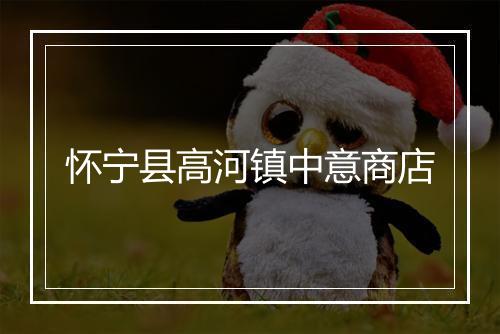 怀宁县高河镇中意商店
