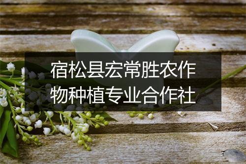 宿松县宏常胜农作物种植专业合作社