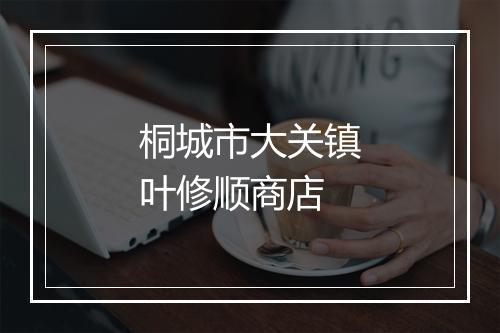 桐城市大关镇叶修顺商店
