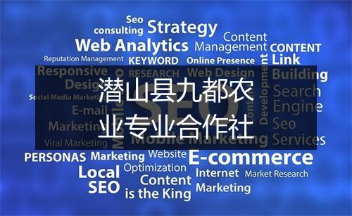 潜山县九都农业专业合作社