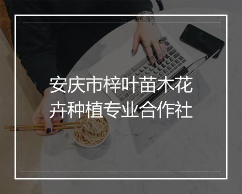 安庆市梓叶苗木花卉种植专业合作社