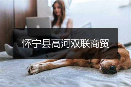 怀宁县高河双联商贸