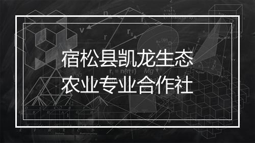 宿松县凯龙生态农业专业合作社