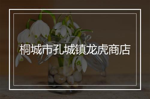 桐城市孔城镇龙虎商店