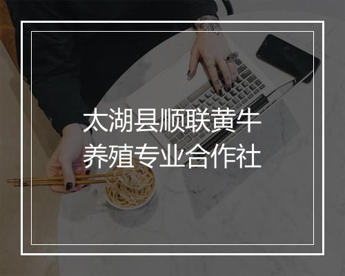 太湖县顺联黄牛养殖专业合作社
