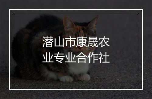 潜山市康晟农业专业合作社