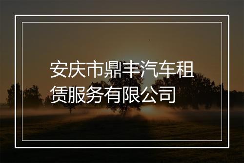 安庆市鼎丰汽车租赁服务有限公司