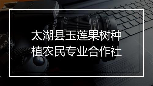 太湖县玉莲果树种植农民专业合作社