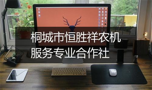 桐城市恒胜祥农机服务专业合作社