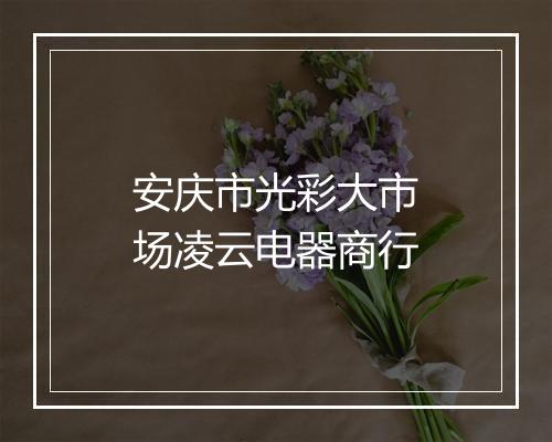 安庆市光彩大市场凌云电器商行