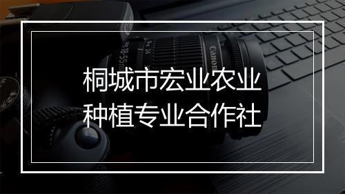 桐城市宏业农业种植专业合作社