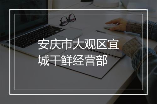 安庆市大观区宜城干鲜经营部