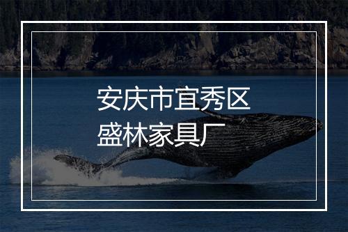 安庆市宜秀区盛林家具厂