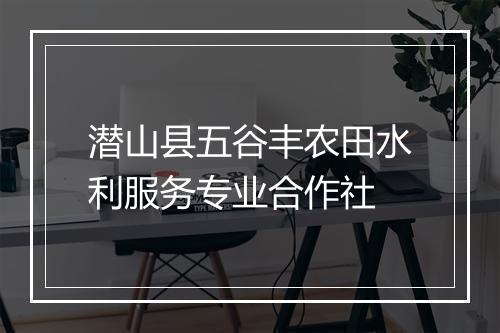 潜山县五谷丰农田水利服务专业合作社