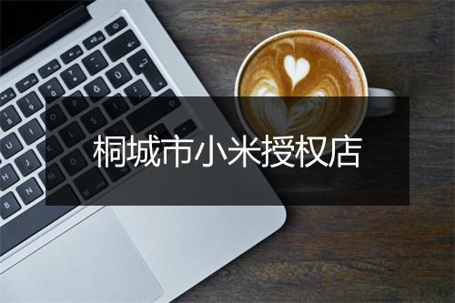 桐城市小米授权店