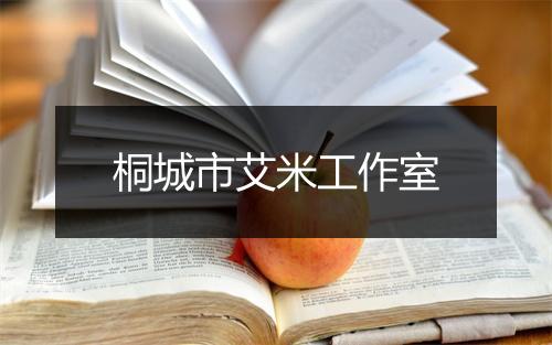 桐城市艾米工作室