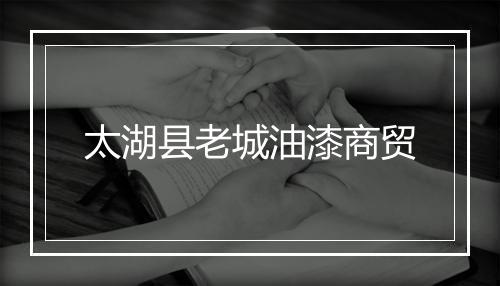 太湖县老城油漆商贸