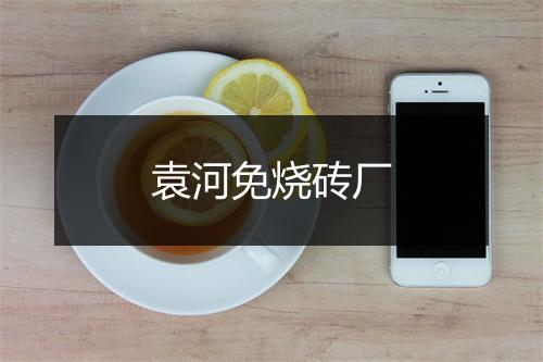 袁河免烧砖厂