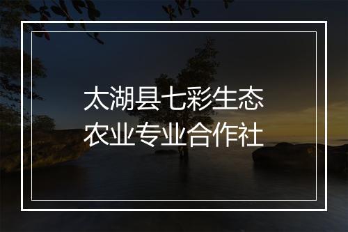 太湖县七彩生态农业专业合作社