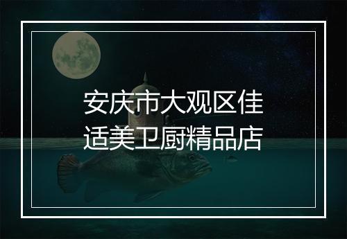 安庆市大观区佳适美卫厨精品店