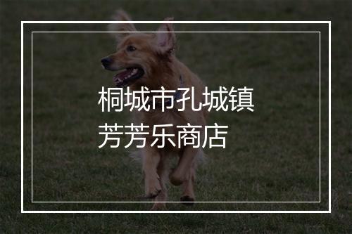 桐城市孔城镇芳芳乐商店