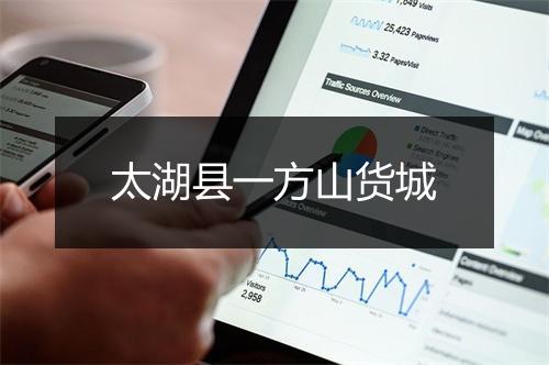 太湖县一方山货城