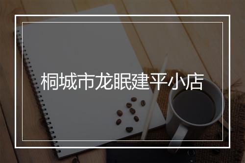 桐城市龙眠建平小店