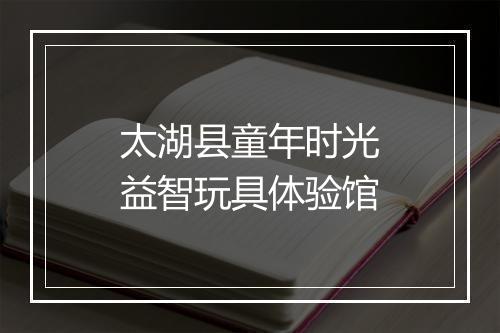 太湖县童年时光益智玩具体验馆