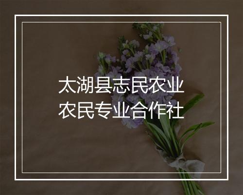太湖县志民农业农民专业合作社