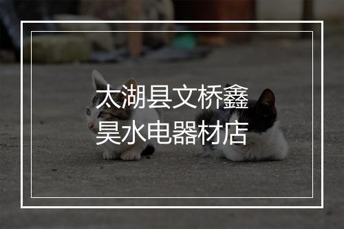 太湖县文桥鑫昊水电器材店