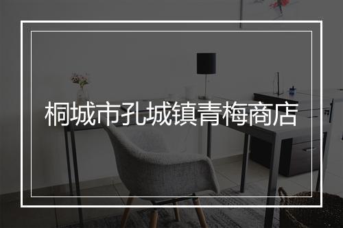 桐城市孔城镇青梅商店