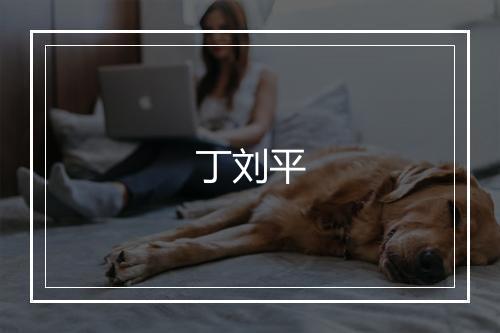 丁刘平