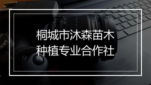 桐城市沐森苗木种植专业合作社