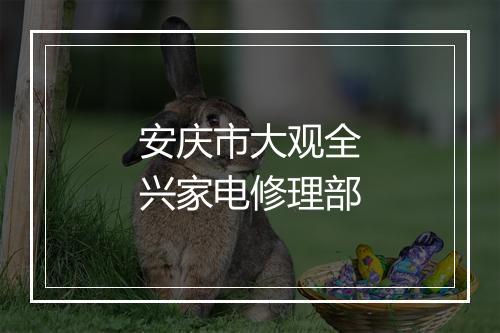 安庆市大观全兴家电修理部