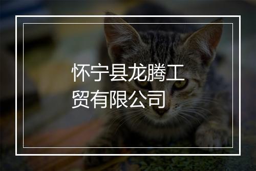 怀宁县龙腾工贸有限公司