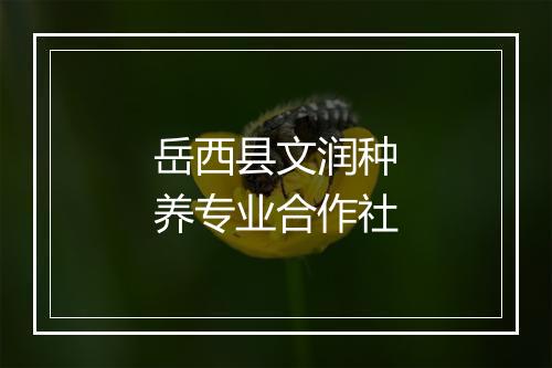 岳西县文润种养专业合作社